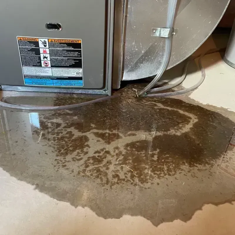 Appliance Leak Cleanup in Leona Valley, CA